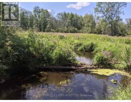 2361 George Johnston Road, Springwater, ON L0L1Y0 Photo 20