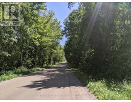 2361 George Johnston Road, Springwater, ON L0L1Y0 Photo 22