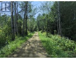 2361 George Johnston Road, Springwater, ON L0L1Y0 Photo 8