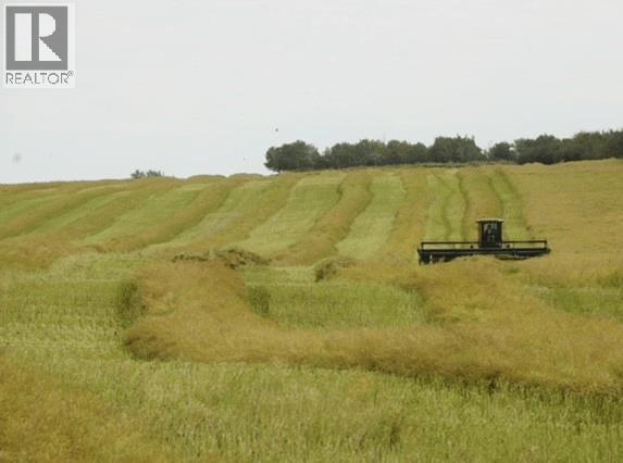1085 Acres Acres - Photo 6
