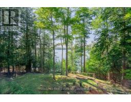1034 Canning Heights Road, Minden Hills, ON K0M2K0 Photo 46