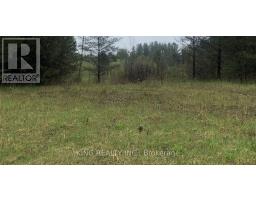 6081 Hwy 89, Clifford Road, Minto, ON N0G1M0 Photo 6