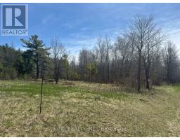 6081 Hwy 89, Clifford Road, Minto, ON N0G1M0 Photo 7