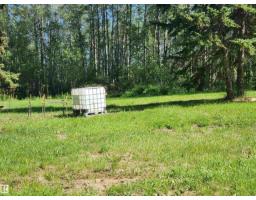 463055 Rge Road 64, Rural Wetaskiwin County, AB T0C0T0 Photo 8