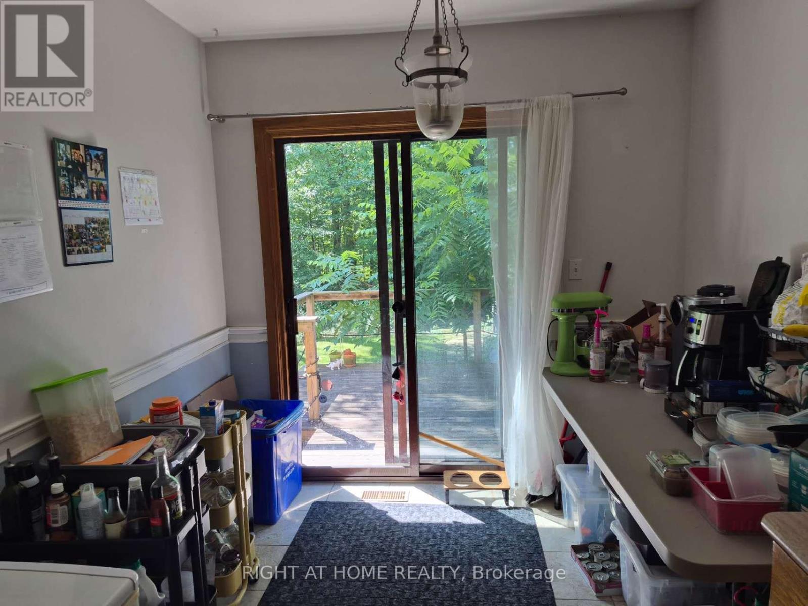 17 GWENDOLEN AVENUE - 8