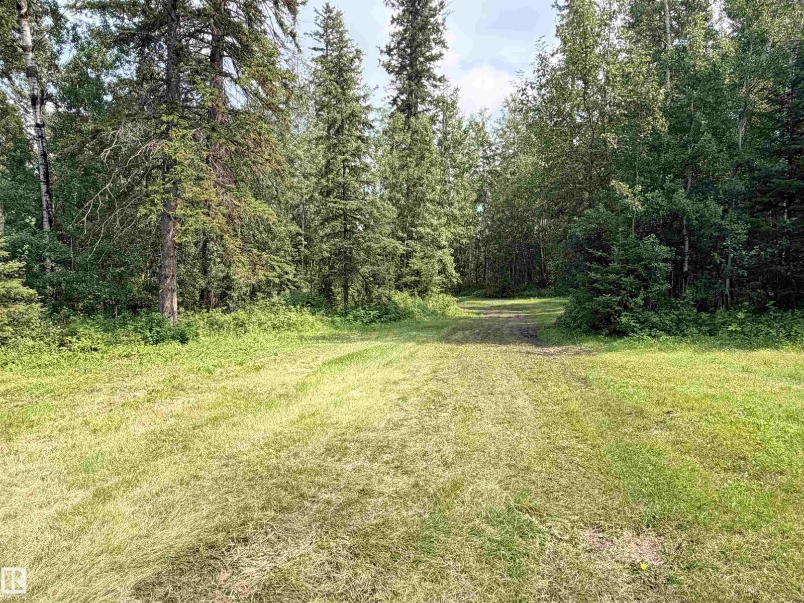 3306 RAIL GRADE Road - Photo 11