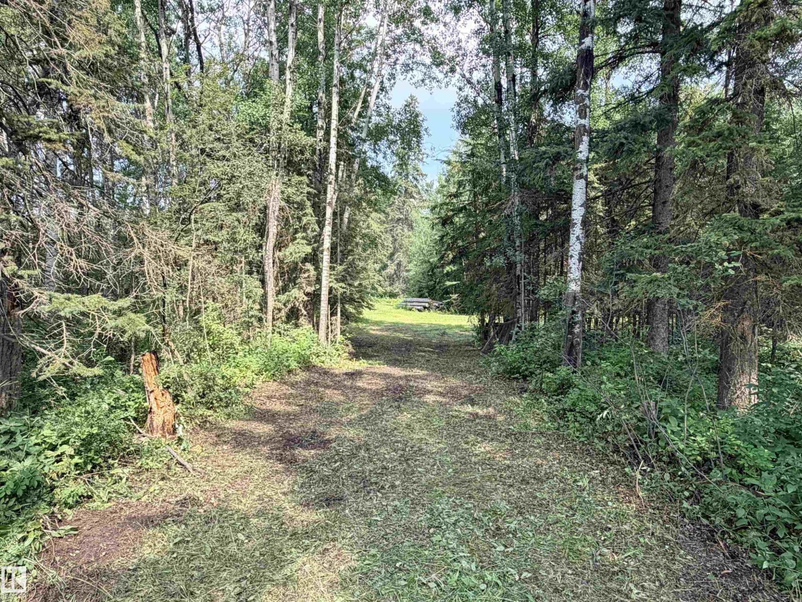 3306 RAIL GRADE Road - Photo 5