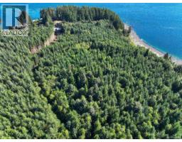 4981 Race Point Rd, Campbell River, BC V9H1N7 Photo 10