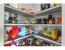 3403 23 Nw, Edmonton, AB T6T0B2 Photo 14