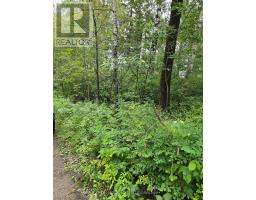 Pcl 15528 & 15527 Martin Bird Road, Kirkland Lake, ON P0K1L0 Photo 12