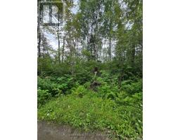 Pcl 15528 & 15527 Martin Bird Road, Kirkland Lake, ON P0K1L0 Photo 7