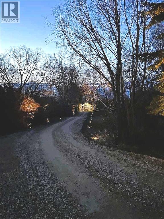 38349 Range Road 270 - Photo 36