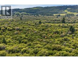 240117 210 Avenue W, Rural Foothills County, AB T0L1W4 Photo 44