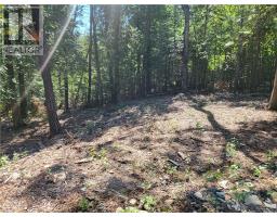 Lot 1 31m-209 Water Street, Meldrum Bay, ON P0P1R0 Photo 12