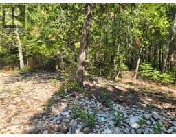 Lot 1 31m-209 Water Street, Meldrum Bay, ON P0P1R0 Photo 10
