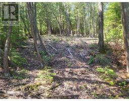 Lot 1 31m-209 Water Street, Meldrum Bay, ON P0P1R0 Photo 16
