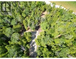 Lot 1 31m-209 Water Street, Meldrum Bay, ON P0P1R0 Photo 21