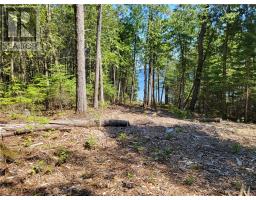 Lot 1 31m-209 Water Street, Meldrum Bay, ON P0P1R0 Photo 13