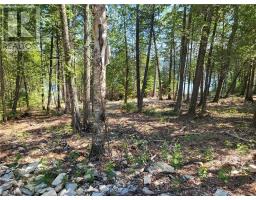 Lot 1 31m-209 Water Street, Meldrum Bay, ON P0P1R0 Photo 11