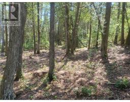 Lot 1 31m-209 Water Street, Meldrum Bay, ON P0P1R0 Photo 18
