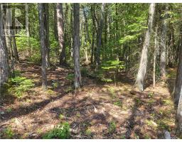 Lot 1 31m-209 Water Street, Meldrum Bay, ON P0P1R0 Photo 17