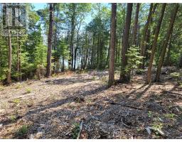 Lot 1 31m-209 Water Street, Meldrum Bay, ON P0P1R0 Photo 14