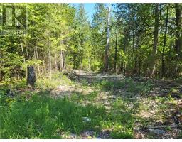 Lot 1 31m-209 Water Street, Meldrum Bay, ON P0P1R0 Photo 20