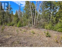 Lot 5 31m-209 Water Street, Meldrum Bay, ON P0P1R0 Photo 11