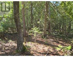 Lot 5 31m-209 Water Street, Meldrum Bay, ON P0P1R0 Photo 10