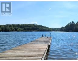 21 Beaumont Bay Rd, Muskoka Lakes, ON P0B1M0 Photo 30