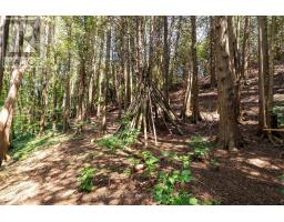 Lt 17 Pl 594 Courtney Court, Ashfield Colborne Wawanosh, ON N2Z2X3 Photo 14