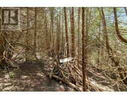 Lt 17 Pl 594 Courtney Court, Ashfield Colborne Wawanosh, ON N2Z2X3 Photo 16