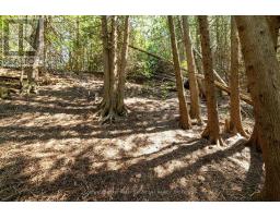 Lt 17 Pl 594 Courtney Court, Ashfield Colborne Wawanosh, ON N2Z2X3 Photo 17
