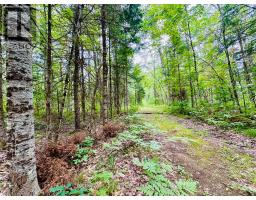 7140 Highway 28, North Kawartha, ON K0L3E0 Photo 25