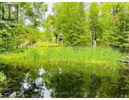 7140 Highway 28, North Kawartha, ON K0L3E0 Photo 27