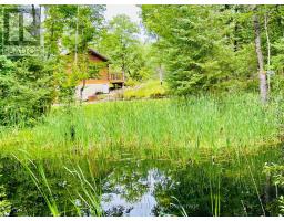 7140 Highway 28, North Kawartha, ON K0L3E0 Photo 29