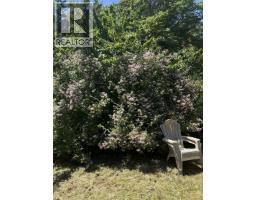 4510 Bedwell Harbour Rd, Pender Island, BC V0N2M1 Photo 14