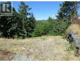 3799 Panorama Cres, Chemainus, BC V0R1K4 Photo 12