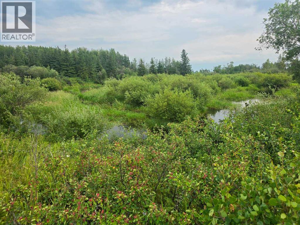 743045 Range Road 94 - Photo 46