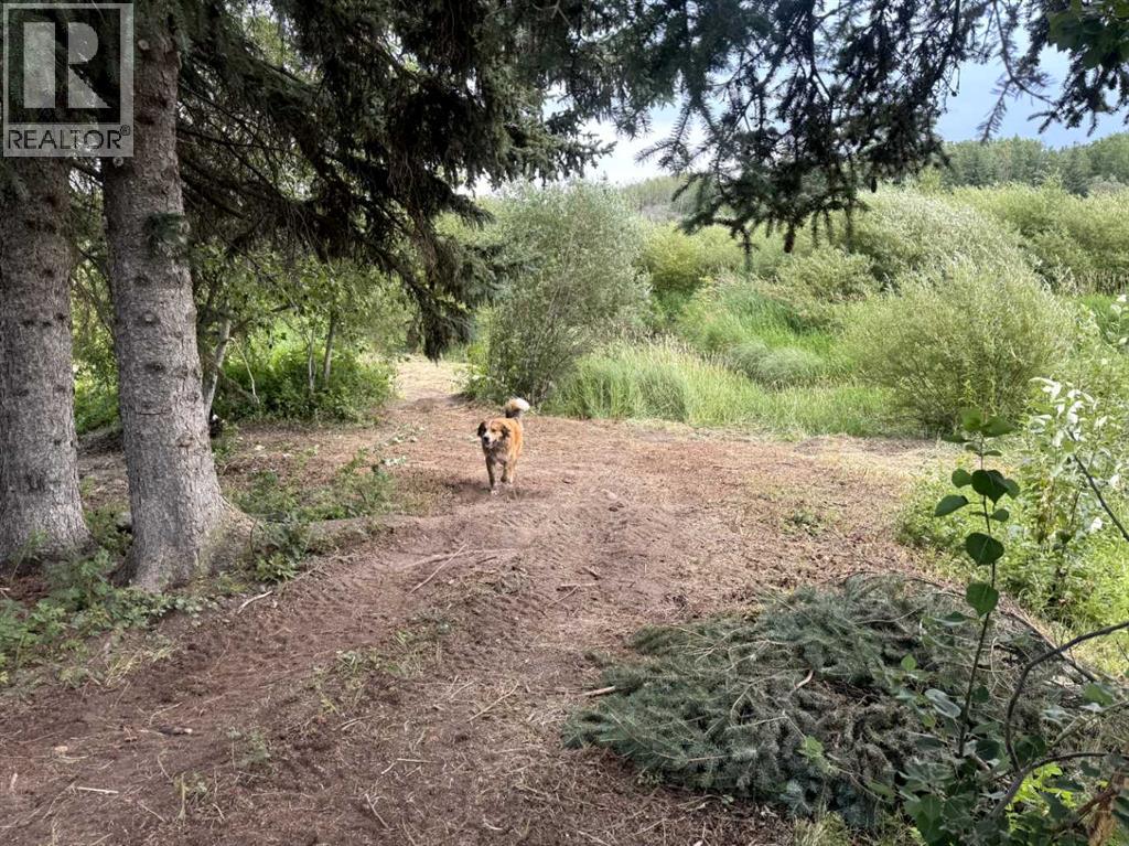 743045 Range Road 94 - Photo 50
