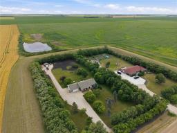 1655 Krahn Road, St Adolphe, MB R5A1A1 Photo 39