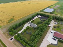 1655 Krahn Road, St Adolphe, MB R5A1A1 Photo 40