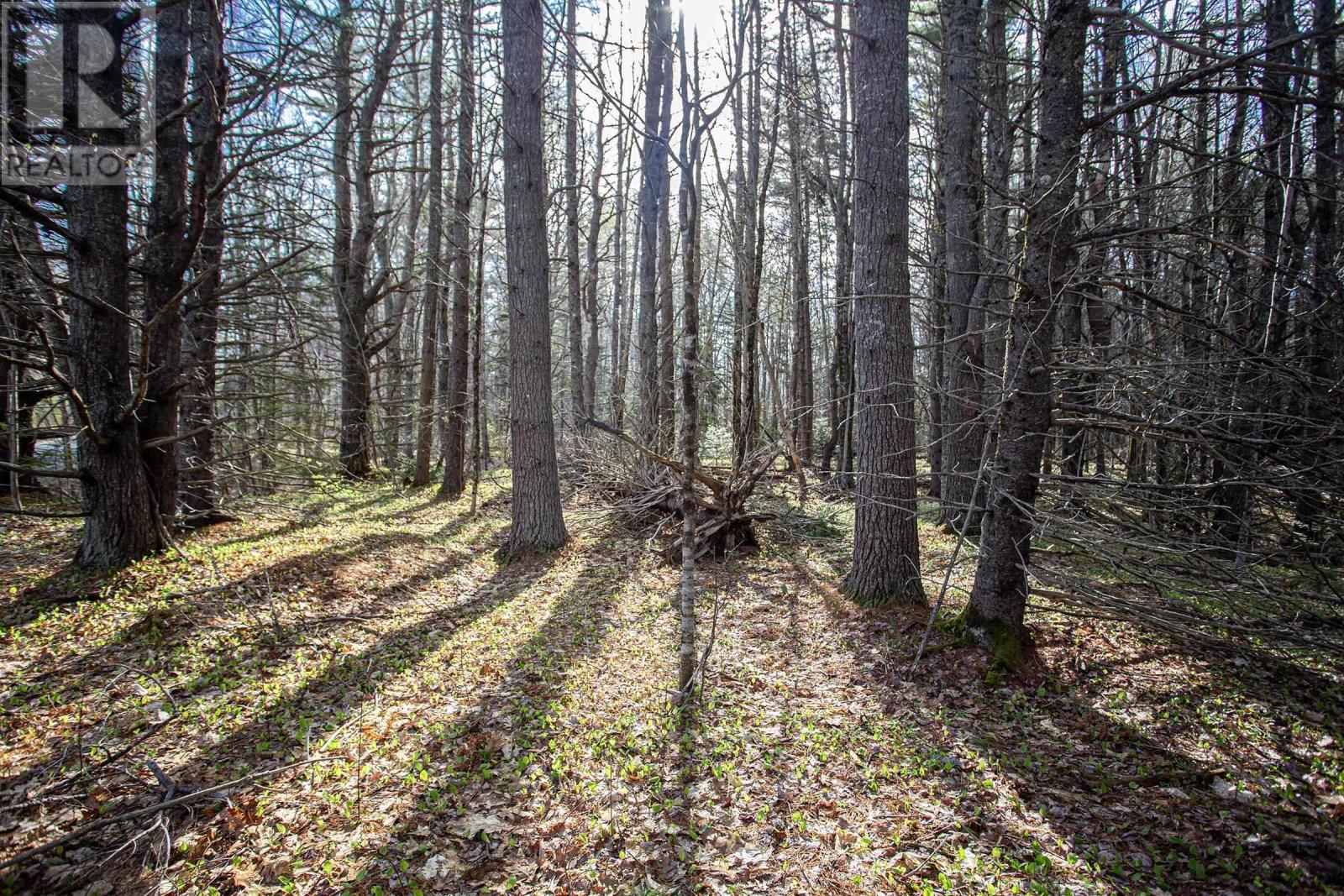 Lot Middle Road, North Williamston — photo 3