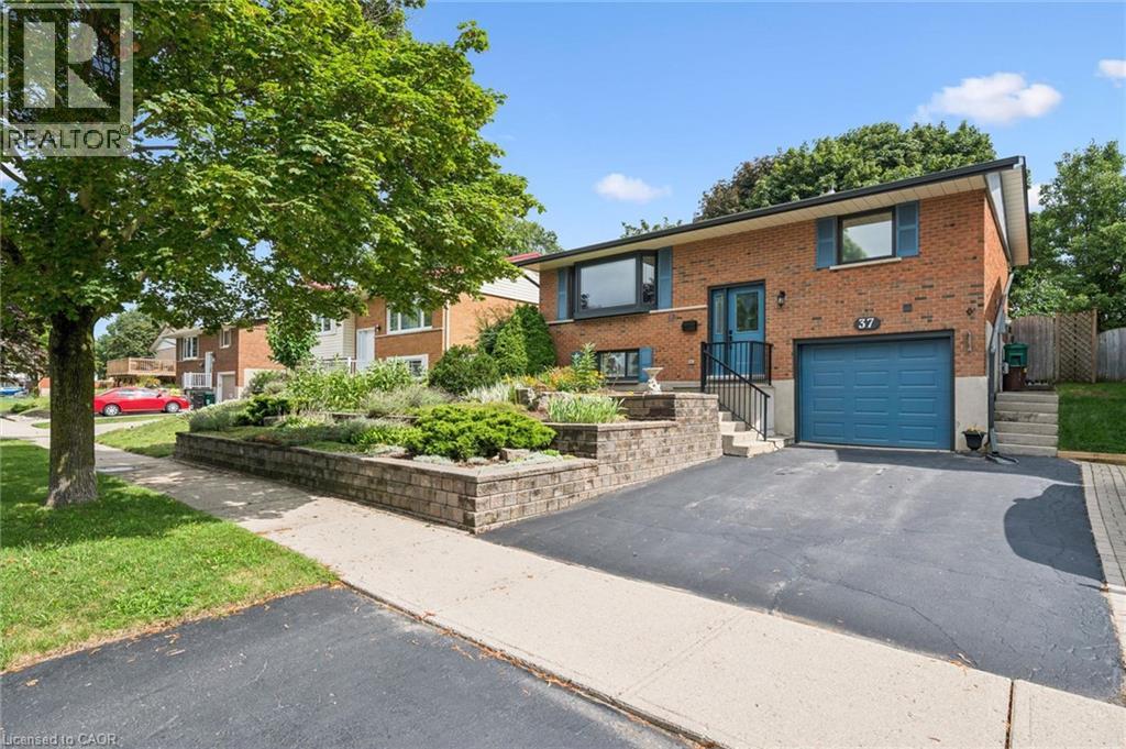 37 DUNSMERE Drive — photo 2