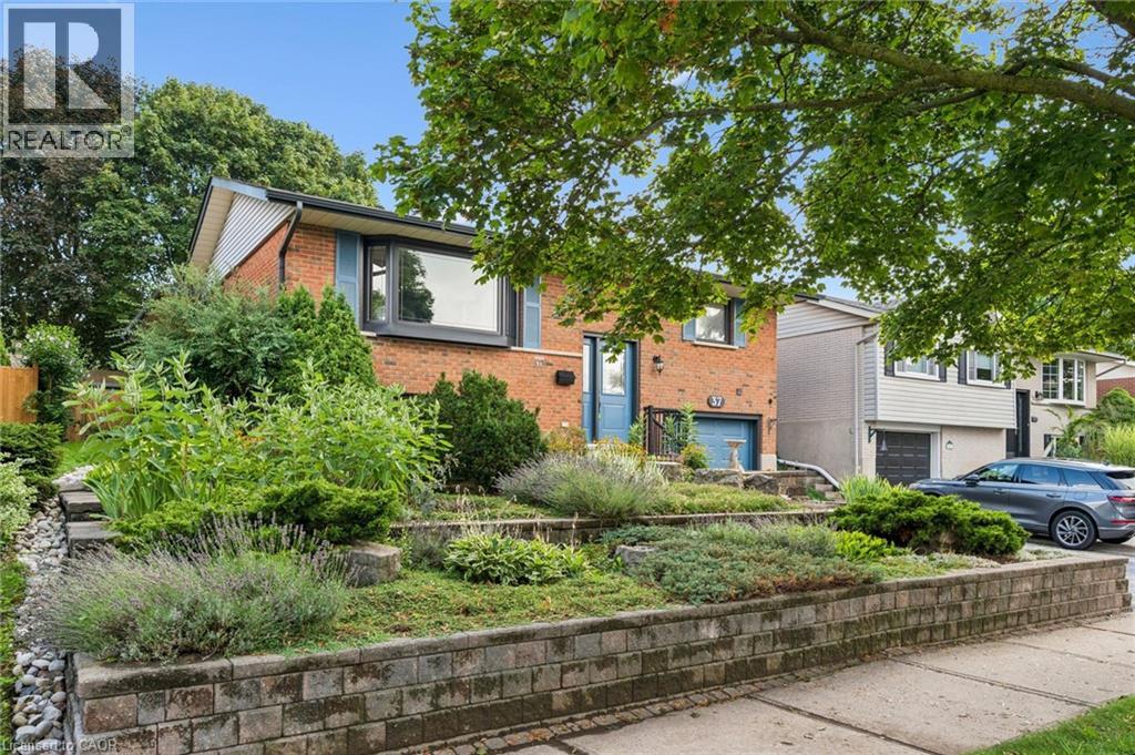 37 DUNSMERE Drive — photo 3