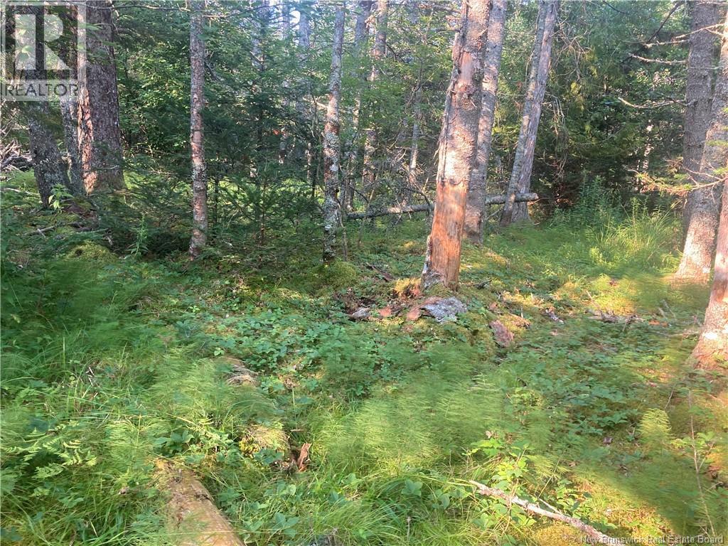 Lot Swimming Pool Road, Welshpool, New Brunswick, E5E1H5, Welshpool, New Brunswick — photo 5 of 5