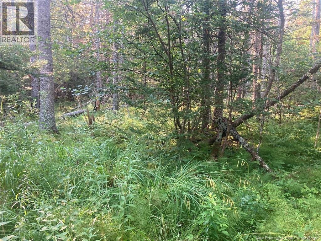 Lot Swimming Pool Road, Welshpool, New Brunswick, E5E1H5, Welshpool, New Brunswick — photo 4 of 5
