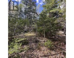 76 Wellington Road, Buckfield, NS B0T1E0 Photo 10