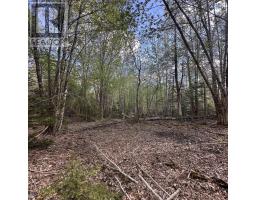 76 Wellington Road, Buckfield, NS B0T1E0 Photo 11