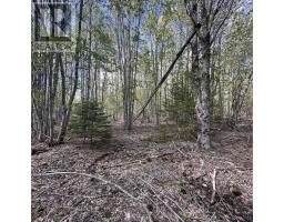 76 Wellington Road, Buckfield, NS B0T1E0 Photo 12